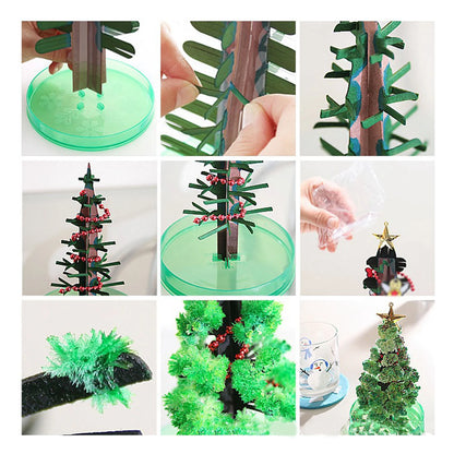Magic Growing Crystal Tree DIY Science Kit
