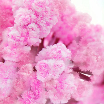 Magic Growing Crystal Tree DIY Science Kit